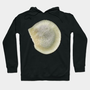 Bell pepper seed under the microscope Hoodie